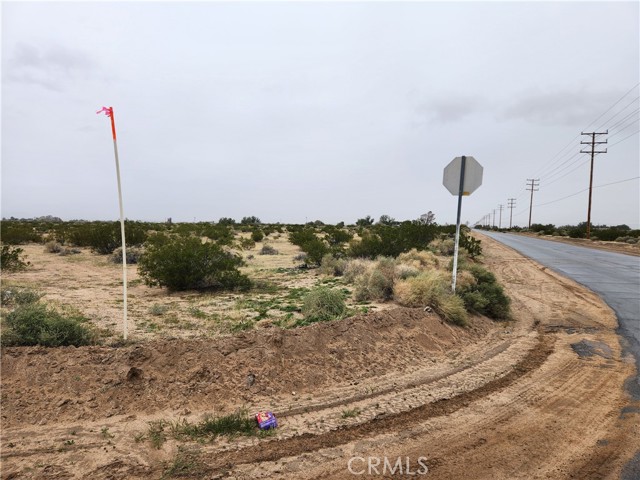 Detail Gallery Image 1 of 1 For 33710 Harvard Rd, Newberry Springs,  CA 92356 - – Beds | – Baths