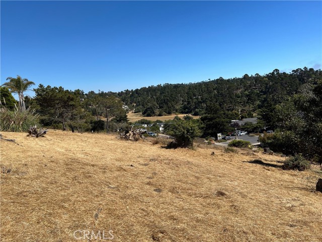 4925 Grove Street, Cambria, California 93428, ,Land,For Sale,4925 Grove Street,CRSC23001880