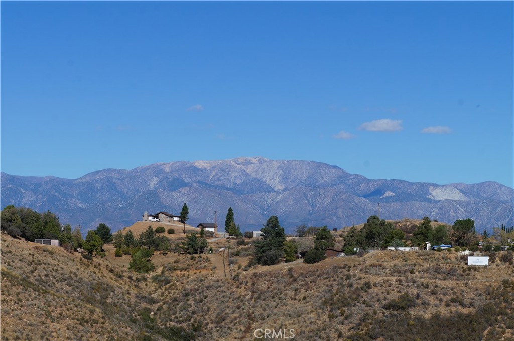 MLS #SB25011782 image #8