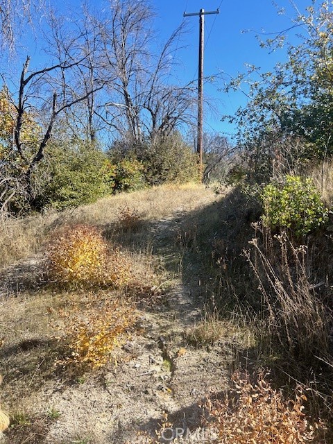 Detail Gallery Image 8 of 39 For 0 Craig Access, Feather Falls,  CA 95940 - – Beds | – Baths