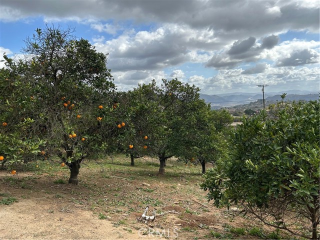 Home for Sale in Fallbrook