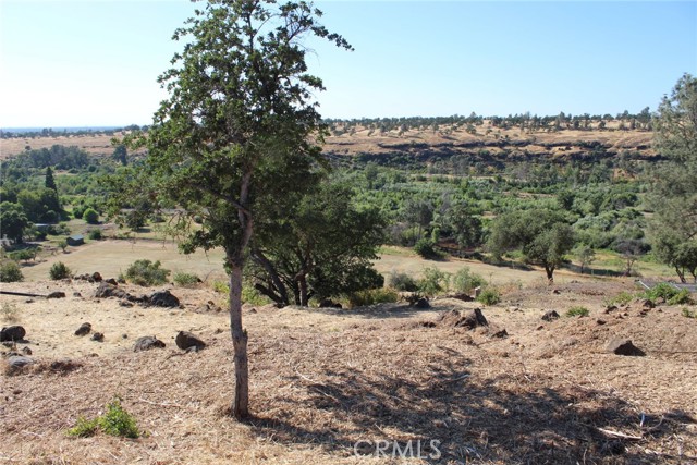 0 Rim Rock Drive, Chico, California 95928, ,Land,For Sale,0 Rim Rock Drive,CRPA23111697