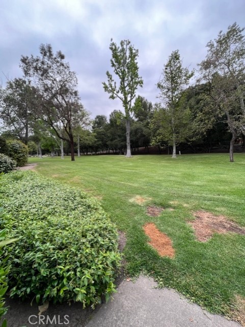 31601 #152B Via Conejo, Coto de Caza CA: https://media.crmls.org/medias/f09e77d3-ec93-47b4-bb45-bcb2683a9579.jpg