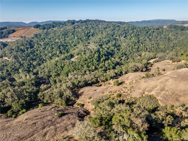 Detail Gallery Image 19 of 30 For 0 Shadow Canyon Rd, Templeton,  CA 93465 - – Beds | – Baths