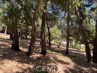 7872 Soda Bay Road, Kelseyville CA: https://media.crmls.org/medias/f0a3c29b-213c-4fdc-aa38-279475da3aee.jpg