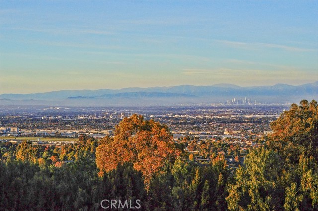 Detail Gallery Image 10 of 38 For 57 Saddleback, Rolling Hills,  CA 90274 - 4 Beds | 5 Baths