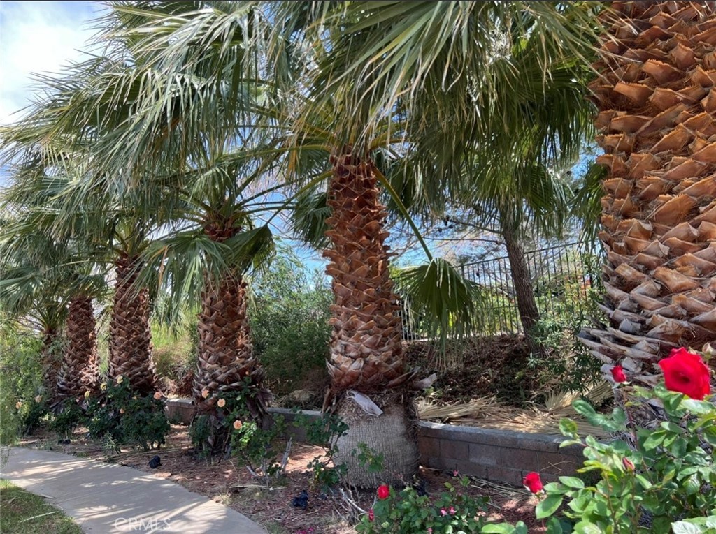 https://media.crmls.org/medias/f0a97356-62cb-4e28-9f27-4227f6176165.jpg?preset=X-Large