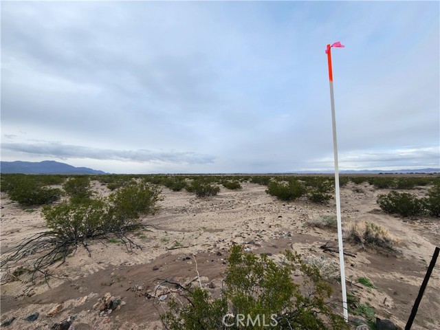 Detail Gallery Image 4 of 7 For 40 Ac Near Center Rd, Newberry Springs,  CA 92356 - – Beds | – Baths