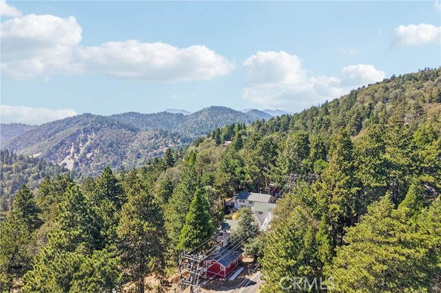 21461 Crest Forest, Cedarpines Park, CA 92322