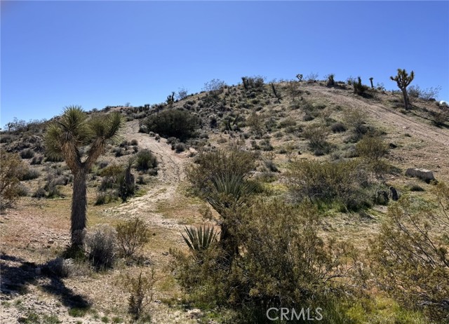 Front Image Thumbnail for CRIV25239042