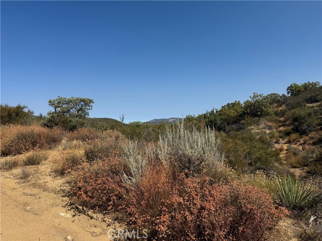 20 Comanche Trail, Anza, California 92539, ,Land,For Sale,20 Comanche Trail,CRSW22245603