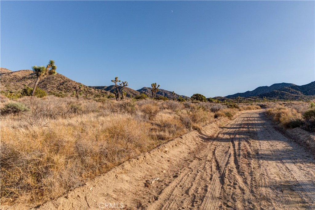 MLS #JT25229239 image #26