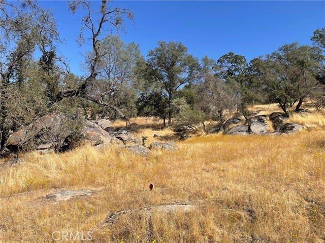 0 Deep Forest Court, Coarsegold, California 93614, ,Land,For Sale,0 Deep Forest Court,CRFR23182041