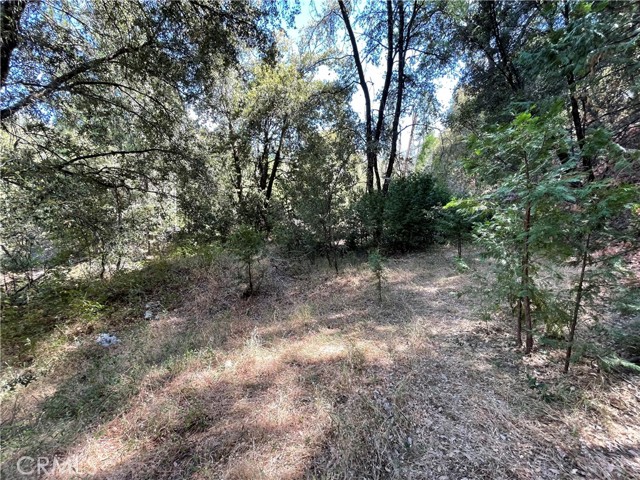 Detail Gallery Image 9 of 19 For 5693 Creel Rd, Mariposa,  CA 95338 - – Beds | – Baths