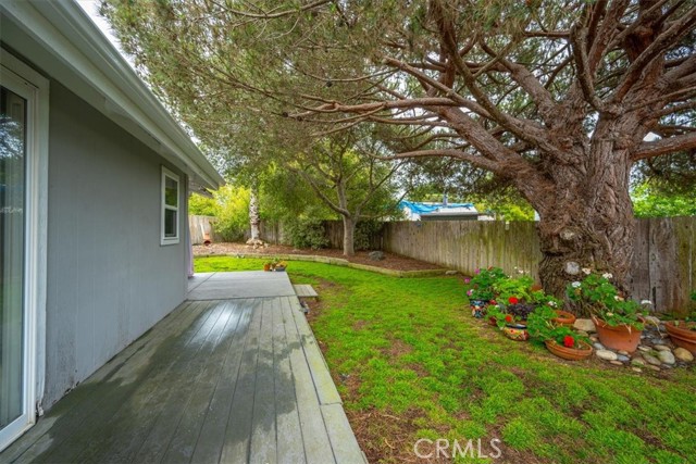 Wrap around deck in backyard area