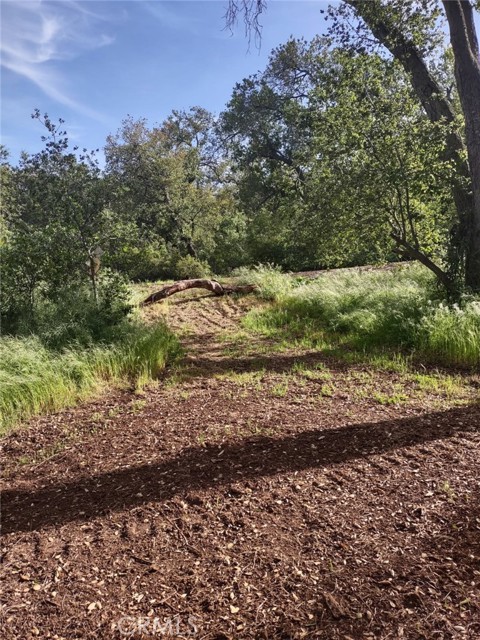 0 Avenida Perla Bonita, Murrieta CA: https://media.crmls.org/medias/f0bee0a8-579d-46e4-8b47-16af9330b6ea.jpg