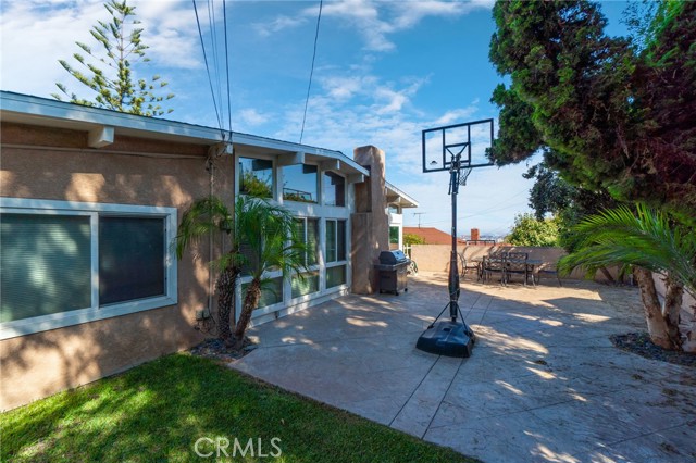 Back yard and patio