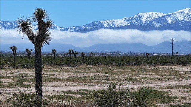 Detail Gallery Image 3 of 10 For 0 Palmdale Rd., Phelan,  CA 92392 - – Beds | – Baths