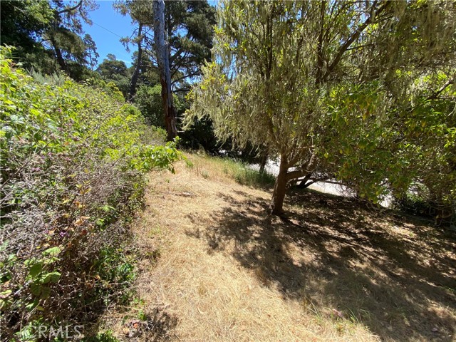 Detail Gallery Image 6 of 9 For 0 Kent St, Cambria,  CA 93428 - – Beds | – Baths
