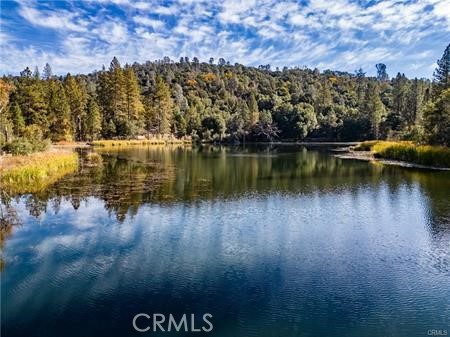 Detail Gallery Image 14 of 54 For 4816 Stumpfield Mountain Rd, Mariposa,  CA 95338 - 2 Beds | 2 Baths