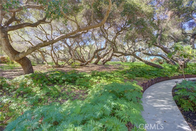 Detail Gallery Image 32 of 46 For 1785 Martingale Ave. Ave, Los Osos,  CA 93402 - 5 Beds | 3/1 Baths