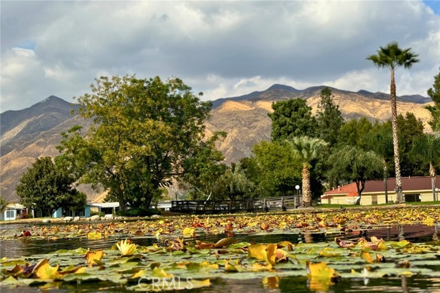 Detail Gallery Image 19 of 21 For 2230 Lake Park #207,  San Jacinto,  CA 92583 - 3 Beds | 2 Baths