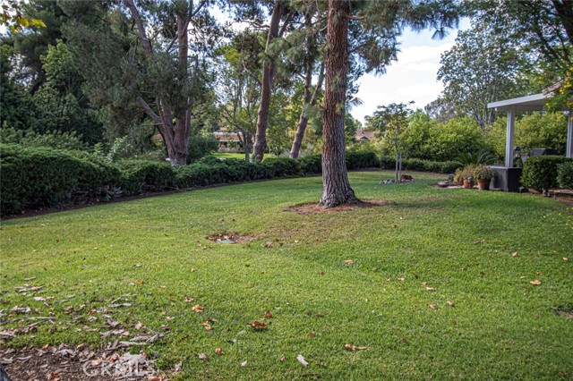 Detail Gallery Image 7 of 22 For 594 Avenida Majorca a,  Laguna Woods,  CA 92637 - 2 Beds | 1 Baths