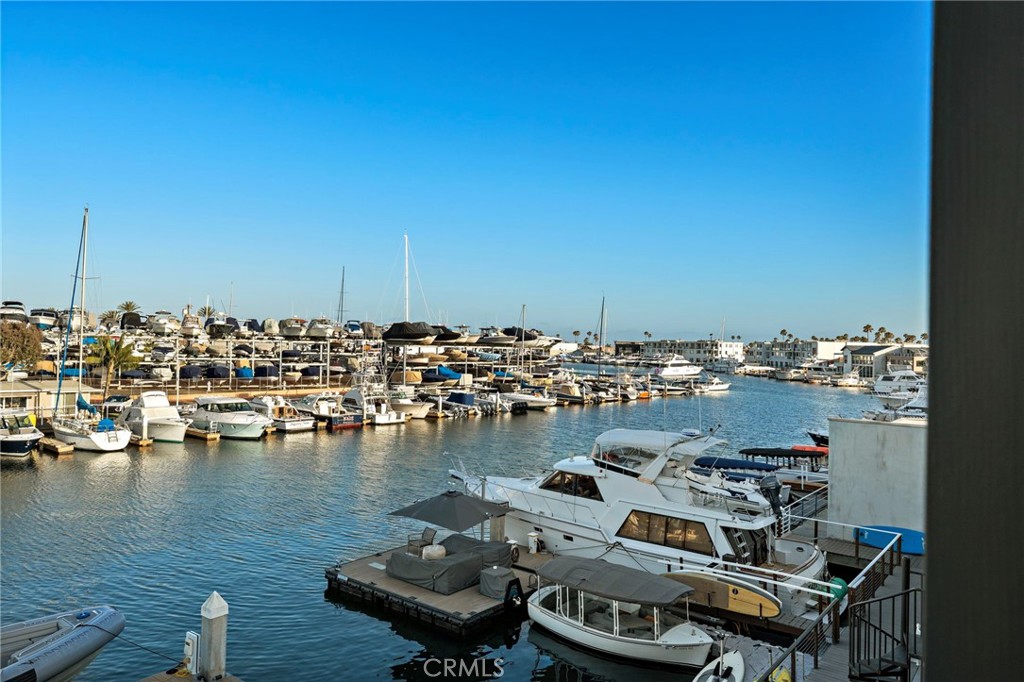 MLS #NP26155415 image #49