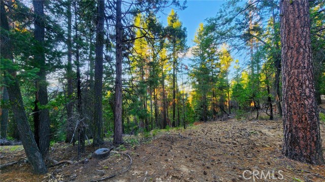 Detail Gallery Image 8 of 15 For 0 Mill Creek Road, Yreka,  CA 96097 - – Beds | – Baths
