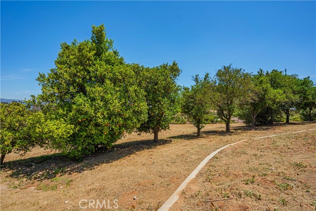 15529 Sierra Grande, Valley Center, California 92082, 3 Bedrooms Bedrooms, ,2 BathroomsBathrooms,Residential,For Sale,Sierra Grande,SW24119570