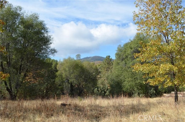 Detail Gallery Image 15 of 41 For 2 .68ac Sneezeweed Ln, North Fork,  CA 93643 - – Beds | – Baths
