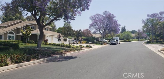 1246 Washington Street, Riverside, California 92506, ,Commercial Lease,For Rent,1246 Washington Street,CRAR24040255