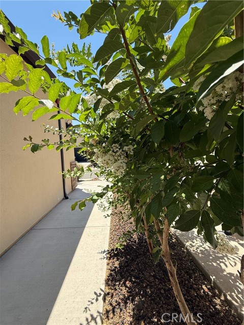 Detail Gallery Image 30 of 30 For 1349 Padova Pl, Chico,  CA 95928 - 2 Beds | 2 Baths