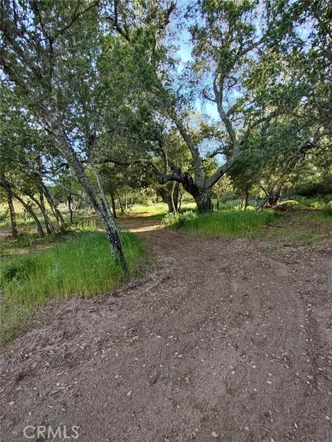 0 Avenida Perla Bonita, Murrieta CA: https://media.crmls.org/medias/f0f4b0bb-8df5-4eca-954d-ed53d6161544.jpg