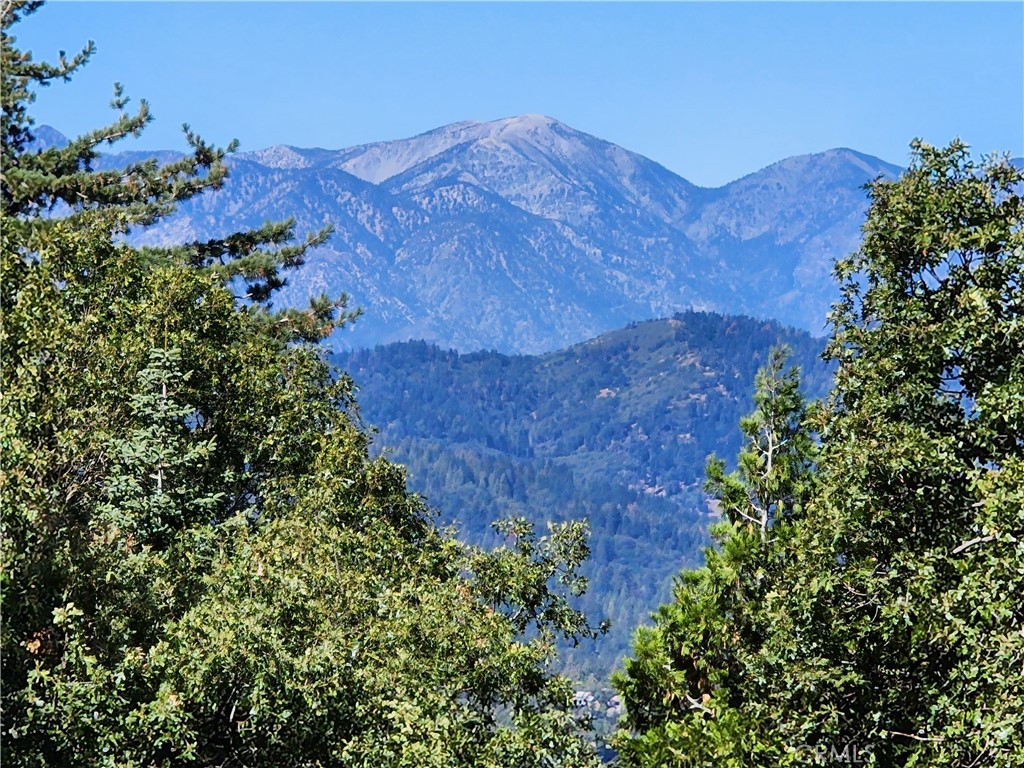 0 North Road, Twin Peaks, CA 92391
