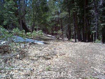 Detail Gallery Image 5 of 8 For 7497 Henness Cir, Yosemite,  CA 95389 - – Beds | – Baths