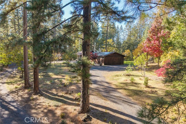 Detail Gallery Image 12 of 67 For 16298 Forest Ranch Rd, Forest Ranch,  CA 95942 - 3 Beds | 3 Baths