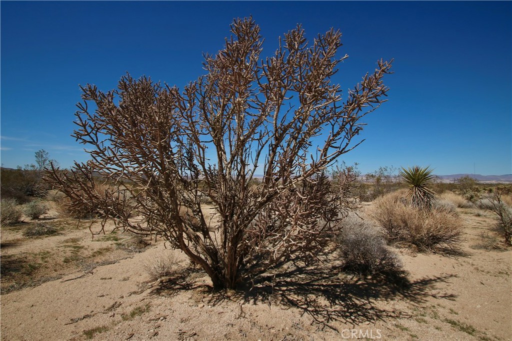 MLS #JT21090590 image #16