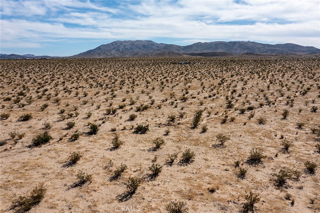 MLS #JT25255739 image #9