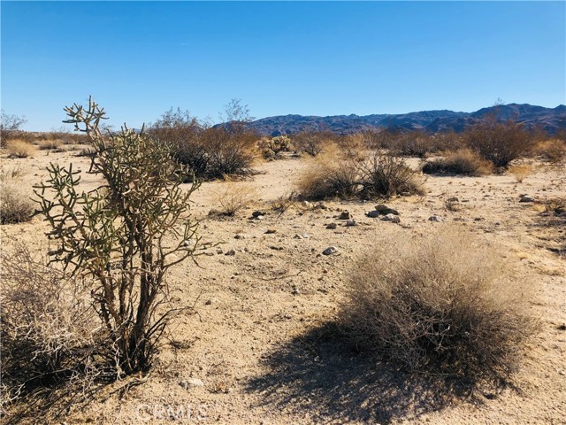 5 Appian, Twentynine Palms, CA, 92277 5 Appian, Twentynine Palms, CA, 92277