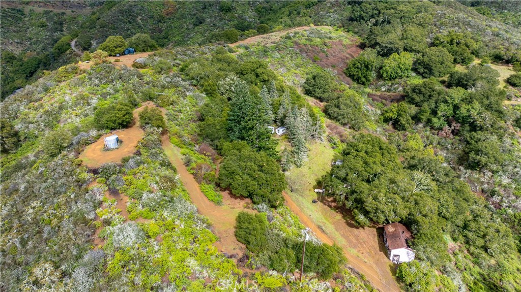 3395 Wallace Mountain Road