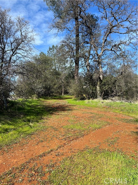 Detail Gallery Image 11 of 26 For 0 Highlands Bld, Oroville,  CA 95965 - – Beds | – Baths