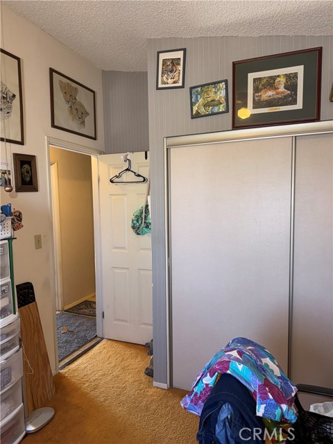 Detail Gallery Image 19 of 57 For 7117 Bonita, Joshua Tree,  CA 92252 - 3 Beds | 2 Baths