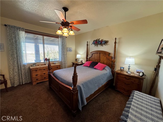 Detail Gallery Image 23 of 46 For 2038 Hollister Rd, Pinon Hills,  CA 92372 - 4 Beds | 2 Baths