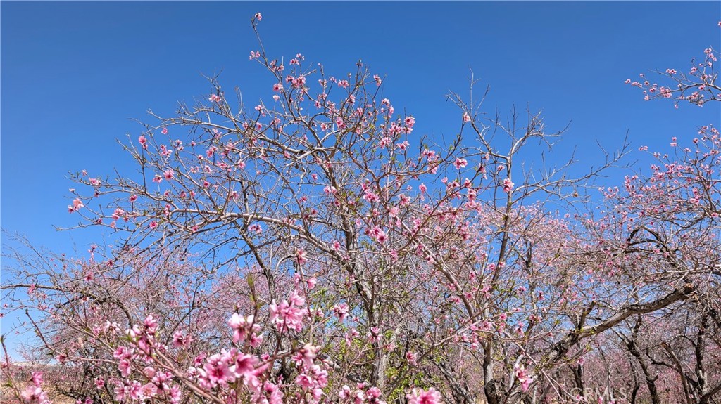 https://media.crmls.org/medias/f121570f-4170-4219-a031-06cc0615811c.jpg?preset=X-Large