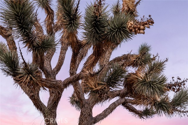 Detail Gallery Image 53 of 60 For 7422 Joshua Ln, Yucca Valley,  CA 92284 - 3 Beds | 2 Baths