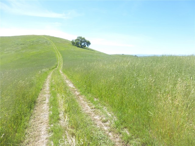 Detail Gallery Image 12 of 44 For 0 Douglas Rd. (Lot 34), San Miguel,  CA 93451 - – Beds | – Baths