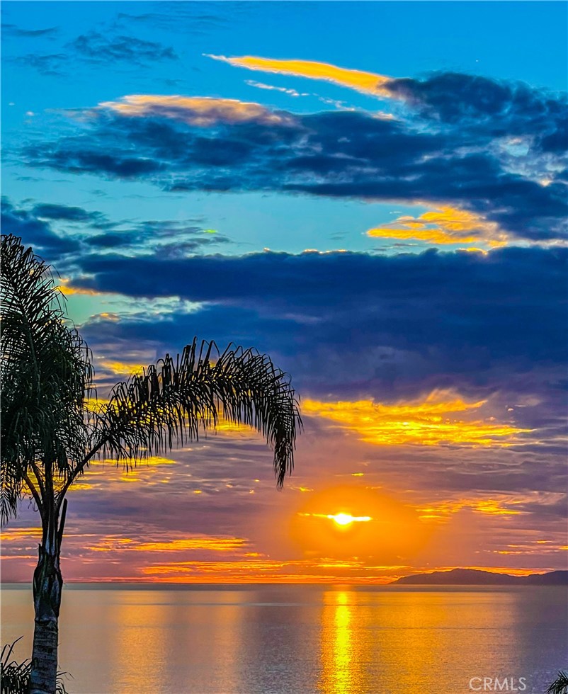 F1317fae 874a 4e62 A5ee 0f037b843b0e