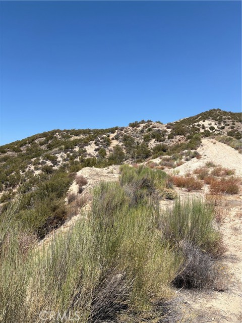 357321 Oak Springs Road, Hesperia, California 92345, ,Land,For Sale,357321 Oak Springs Road,CRCV25048026