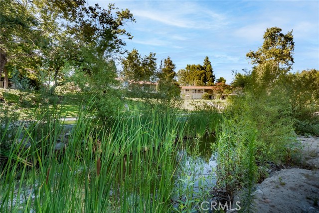 Detail Gallery Image 40 of 57 For 3437 Bahia Blanca #P,  Laguna Woods,  CA 92637 - 2 Beds | 2 Baths